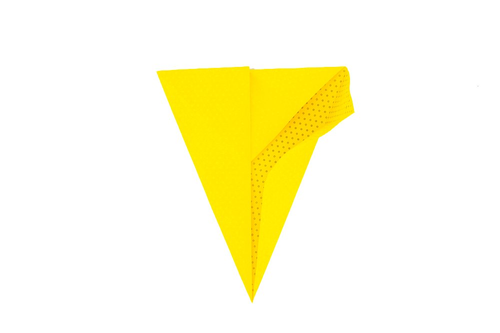 How to fold an Origami Turkey - Step 011