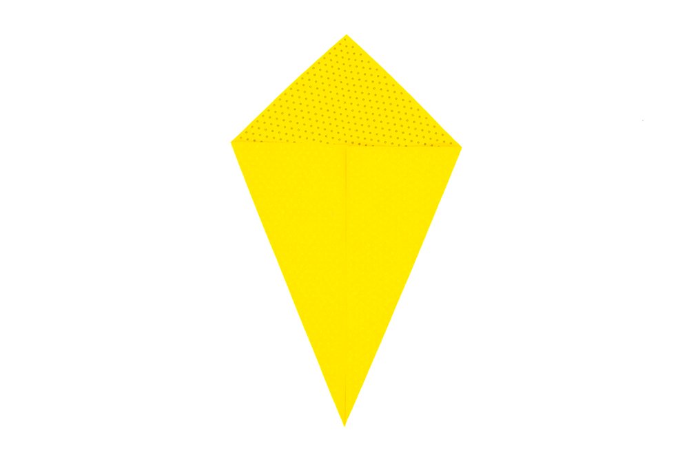 How to fold an Origami Turkey - Step 05