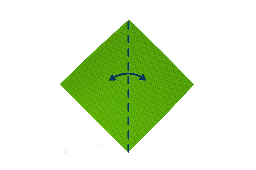 How to Fold an Origami Turtle - Step 01