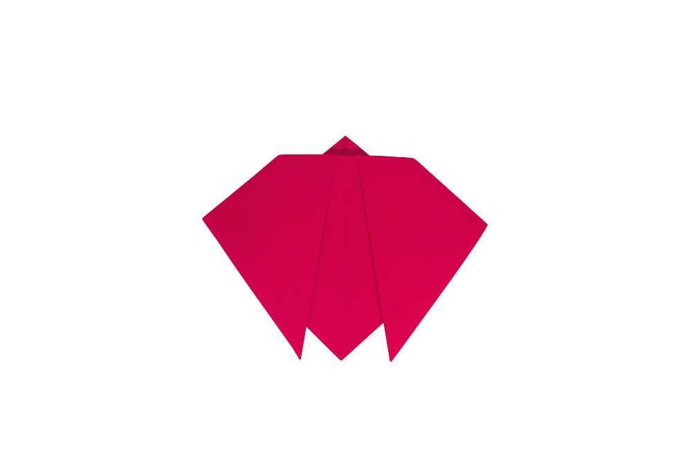 How to Make an Origami Ladybug - Finish