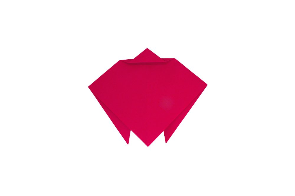 How to Make an Origami Ladybug - Step 07