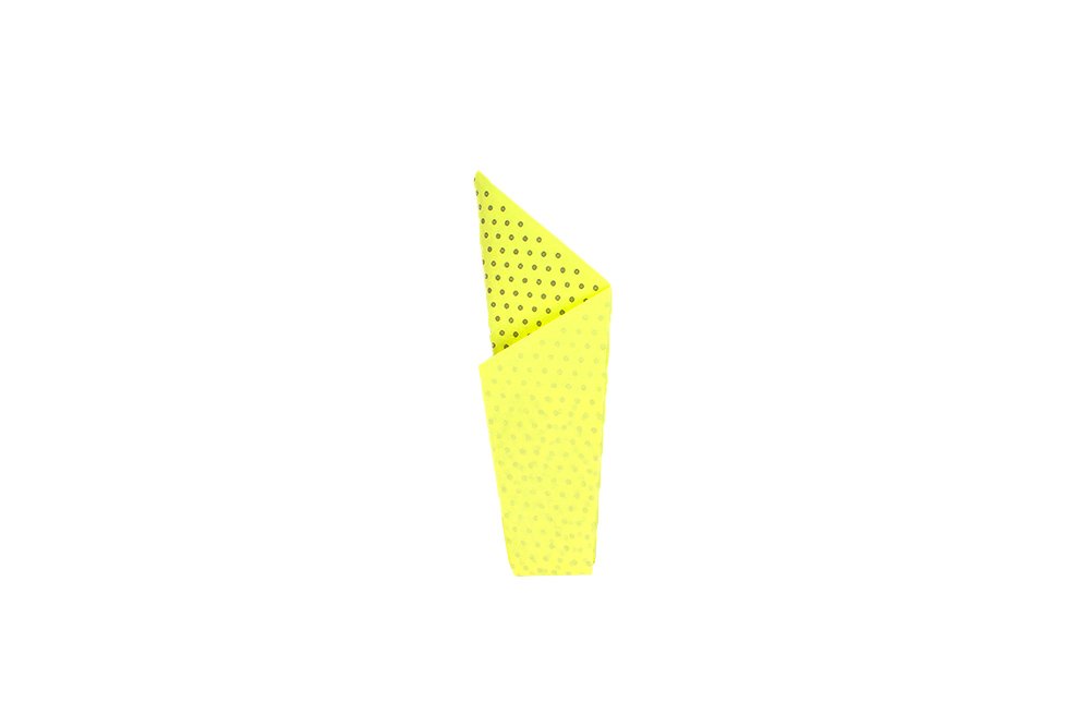How to fold an Origami Pelican - Step 07