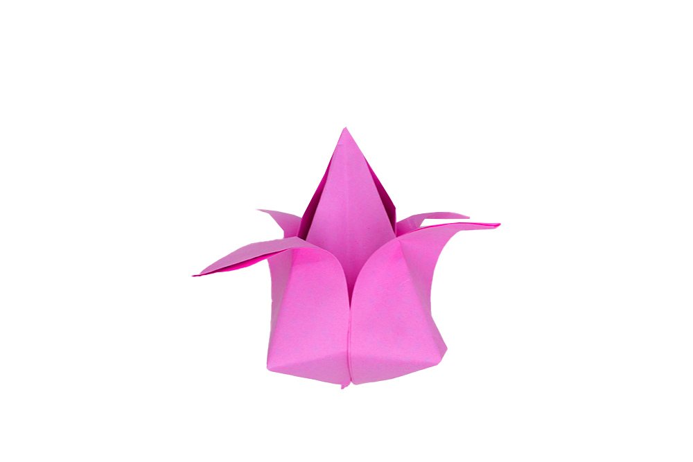 How to fold an Origami Tulip - Step 016