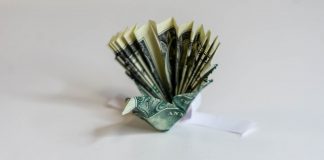 Dollar Bill Origami Peacock - Thumbnail