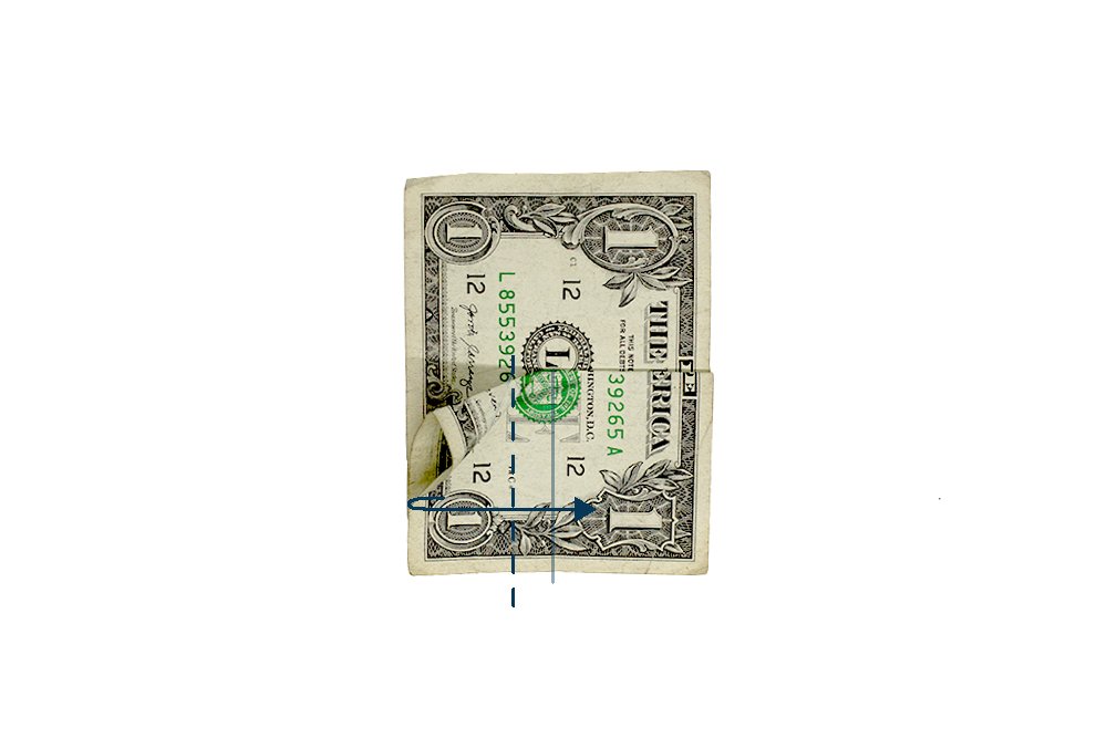 How to Fold a Dollar Bill Origami Tree- Step 08