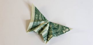 Money Origami Butterfly - Thumbnail