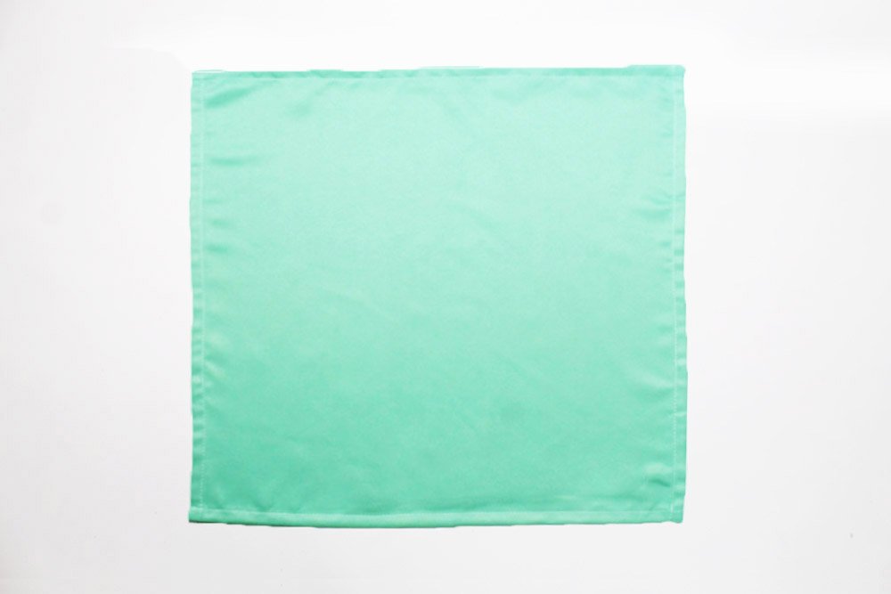 Easy and Fast Wedding Napkin Fold - 01