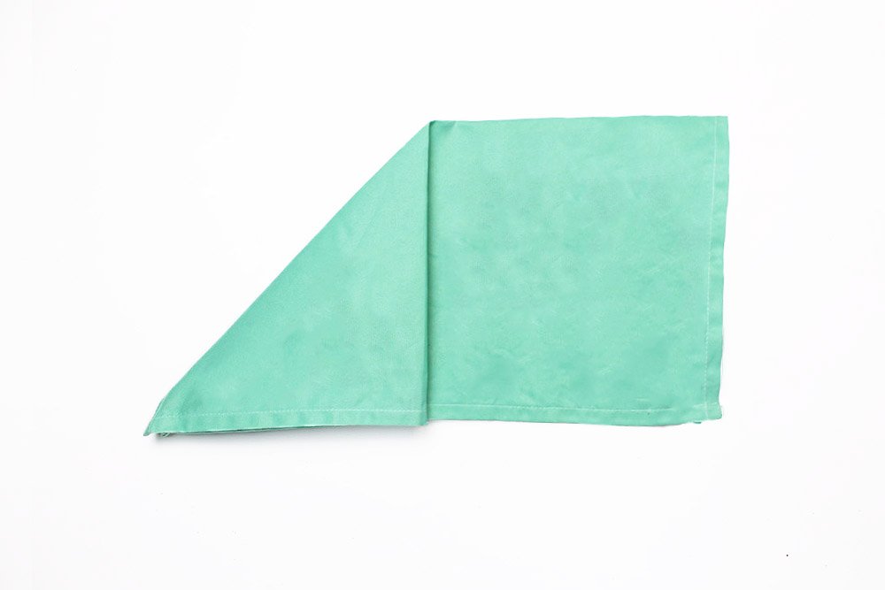 Easy and Fast Wedding Napkin Fold - 03