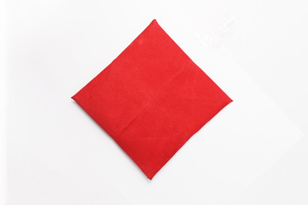 Napkin Folding Rose-09