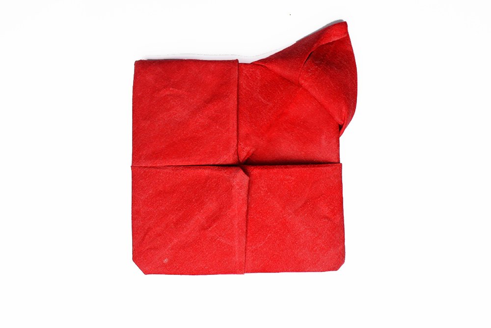 Napkin Folding Rose-13