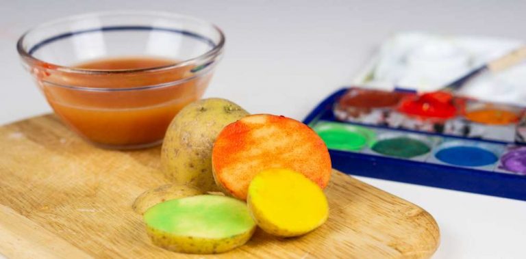 Potato Stamps For Toddlers  in 3 Safe Steps