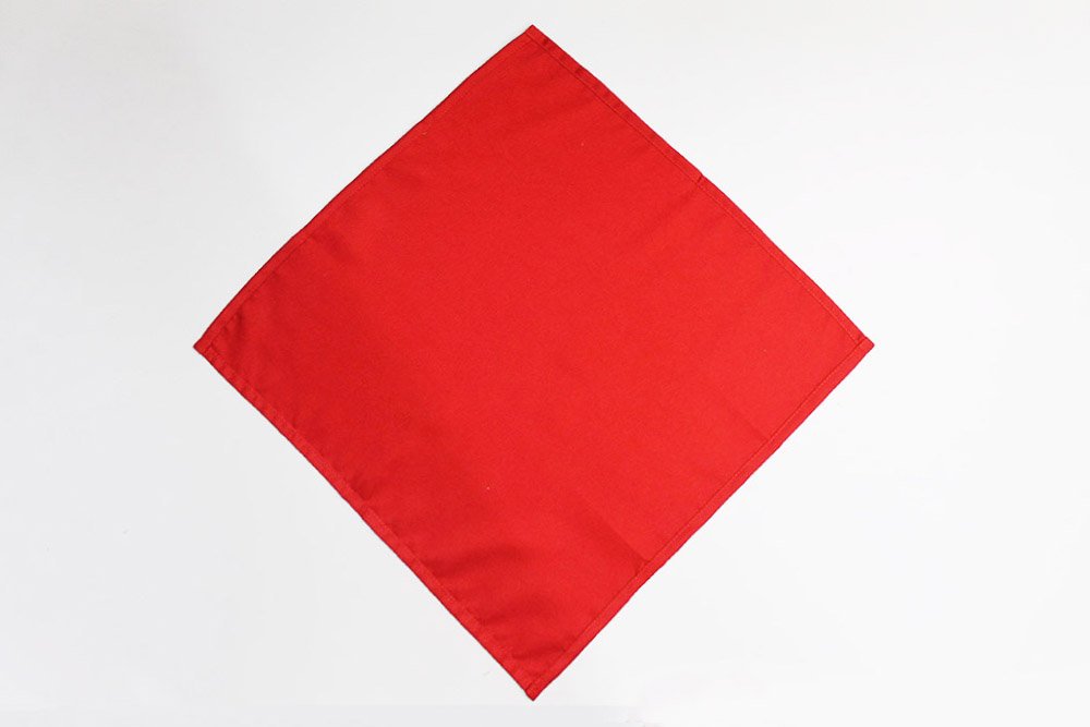 How to Make a Rosebud Napkin Folding - 01