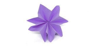 Origami Flower - Thumbnail