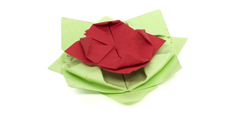 ➤ Create a 3D Origami Lotus Flower Step-by-Step Instructions