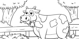 cow coloring page - farm colorings - thumbnail ver 1