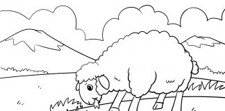 cute sheep coloring page - thumbnail ver 1