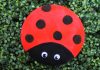 DIY Paper Plate Ladybug in 3 Easy Steps