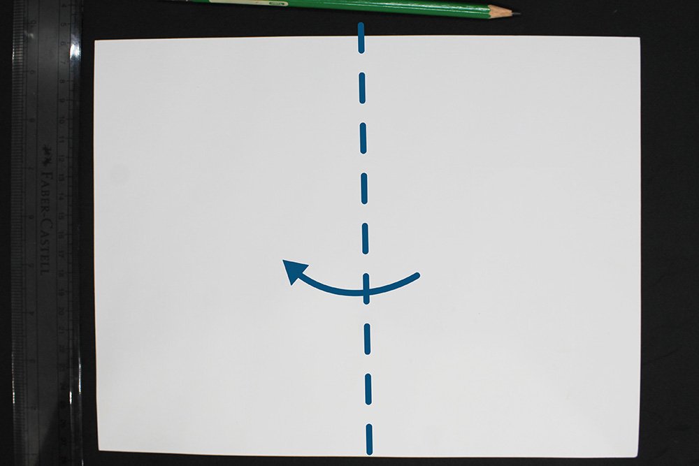 How to Make a Paper Plate Frog - Step 32