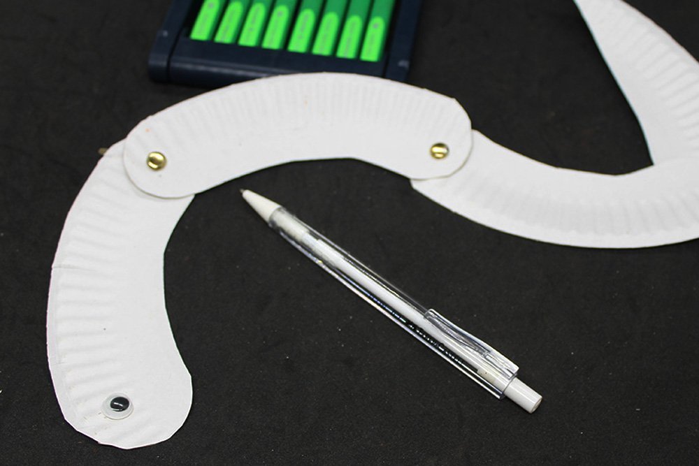 How to Make a Paper Plate Snake - Step 15