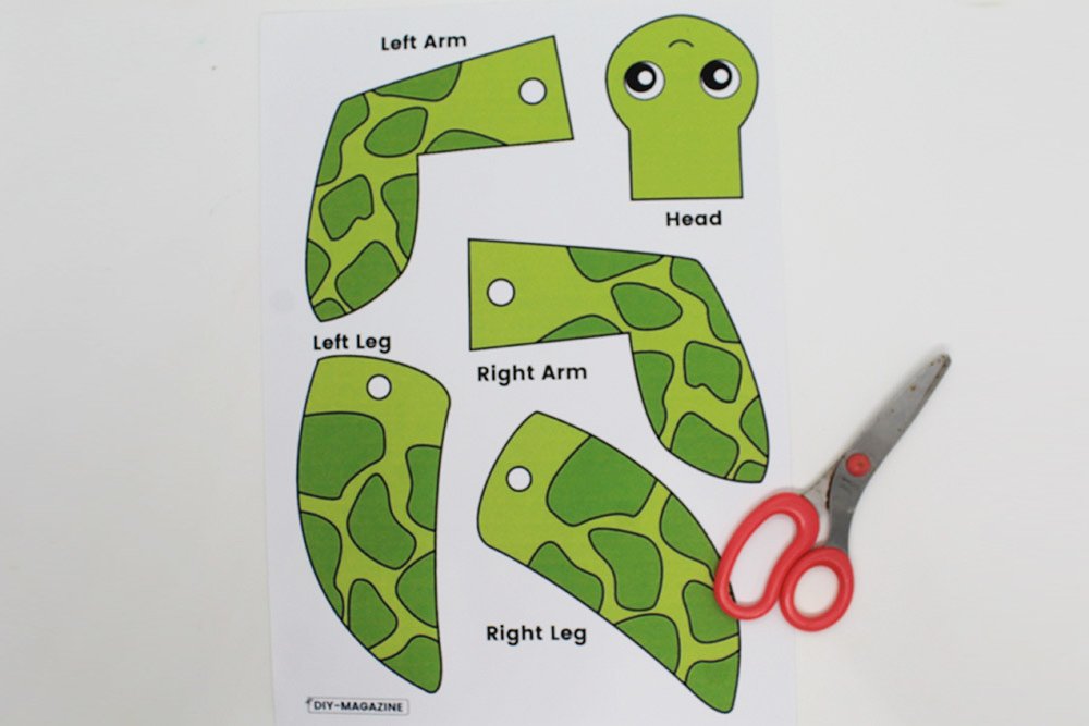 How to Make a Paper Plate Turtle - Step 17