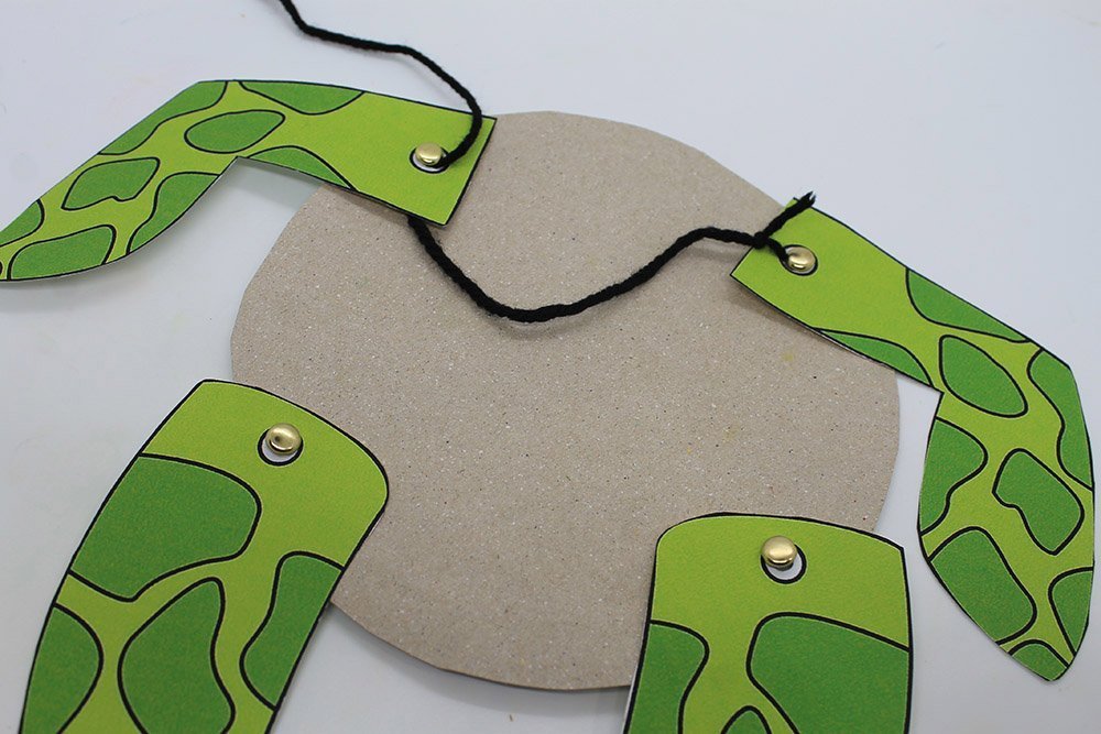 How to Make a Paper Plate Turtle - Step 36