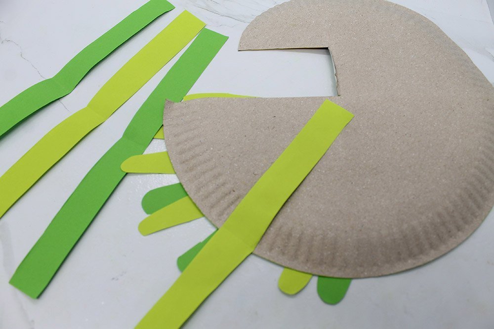 How to Make a Paper Plate Parrot - Step 026