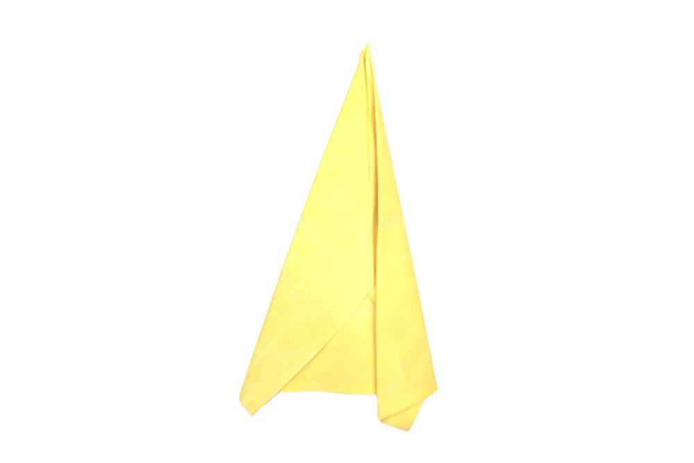 How_to_do_a_turkey_napkin_fold_step_12
