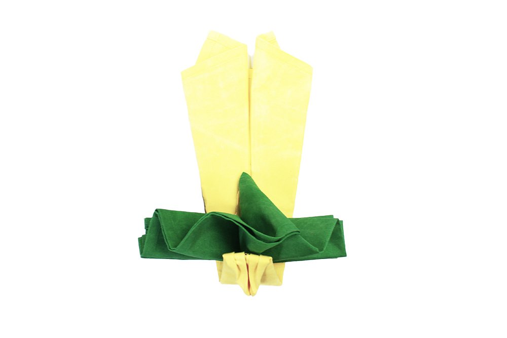 How_to_do_a_turkey_napkin_fold_step_18