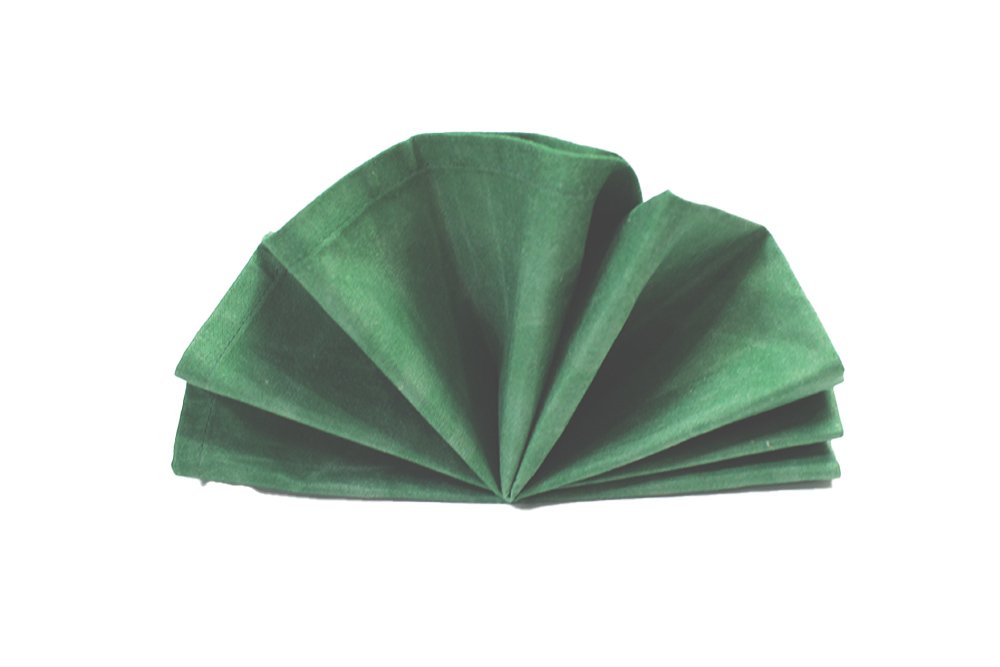 How_to_do_a_turkey_napkin_fold_step_6
