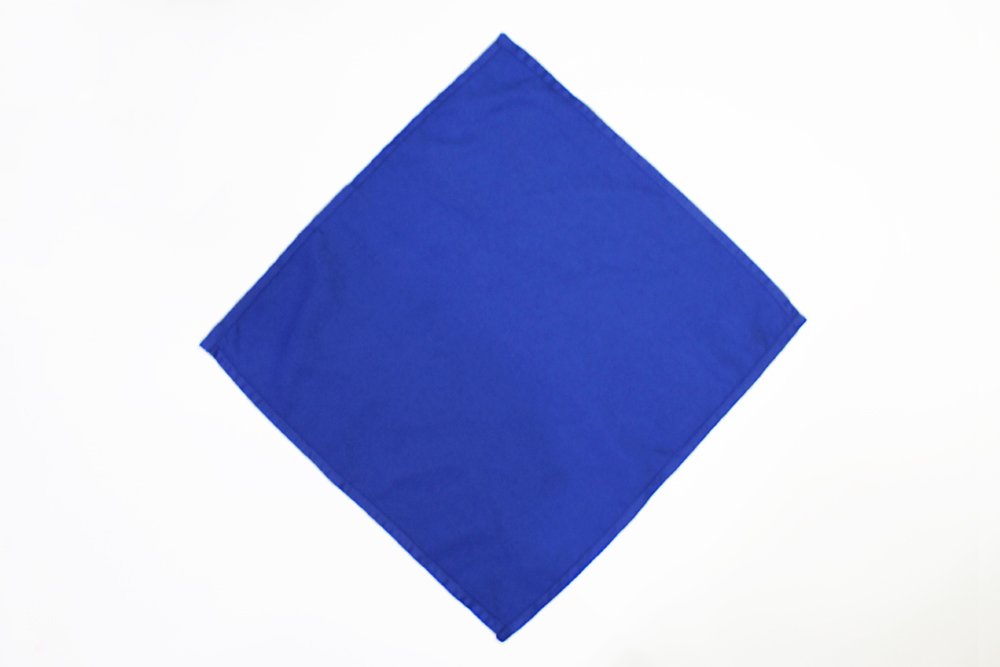 how_to_fold_a_butterfly_napkin_fold_step_1