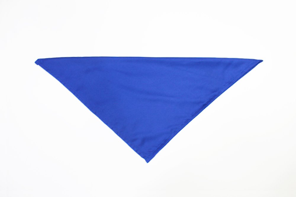how_to_fold_a_butterfly_napkin_fold_step_2