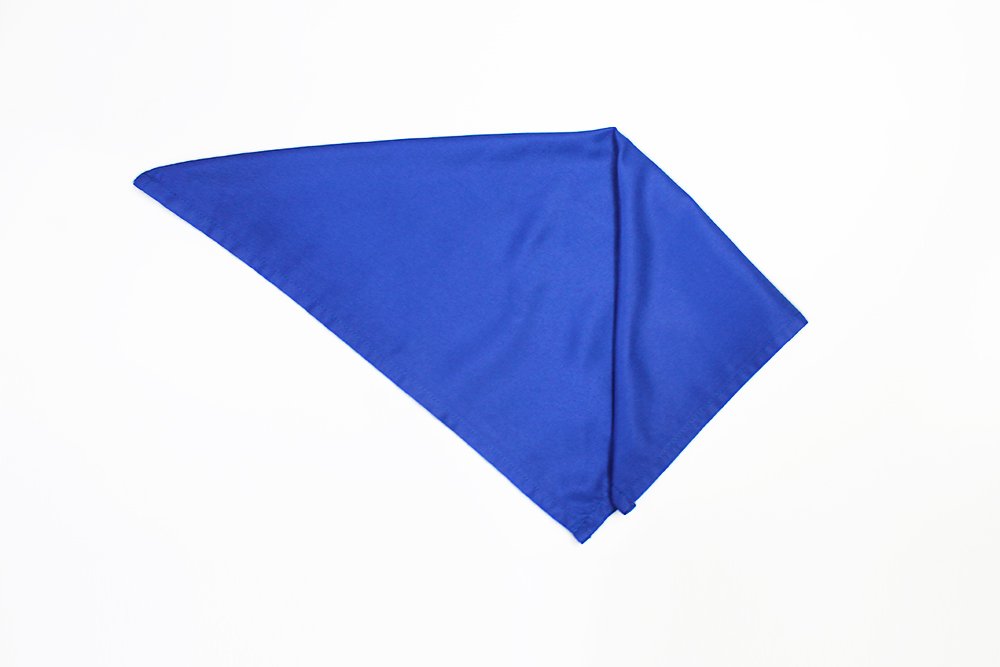 how_to_fold_a_butterfly_napkin_fold_step_3