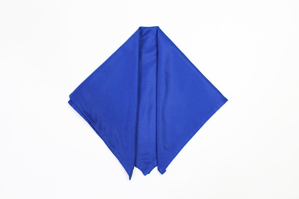 how_to_fold_a_butterfly_napkin_fold_step_4