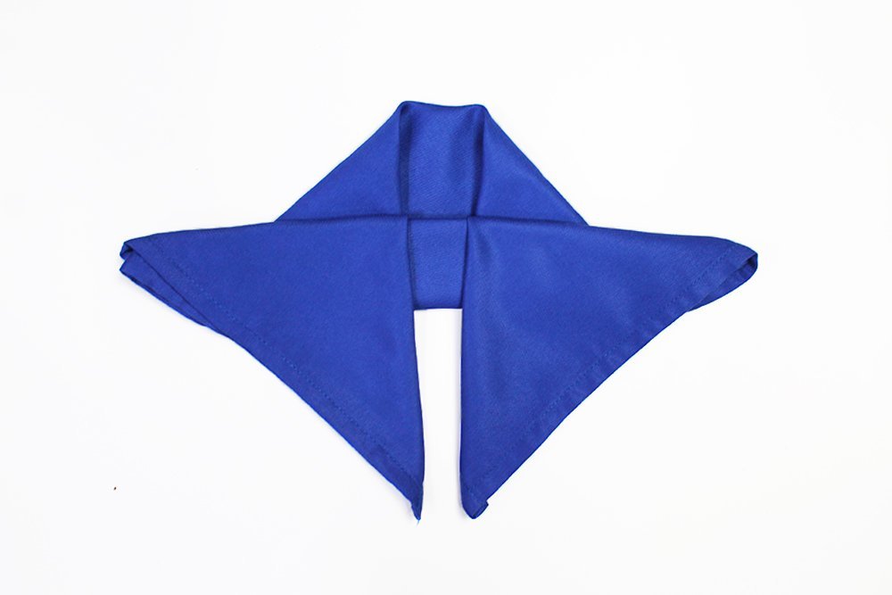 how_to_fold_a_butterfly_napkin_fold_step_7