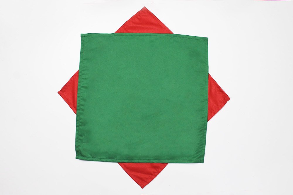 how_to_fold_a_napkin_flower_bouquet_step_2