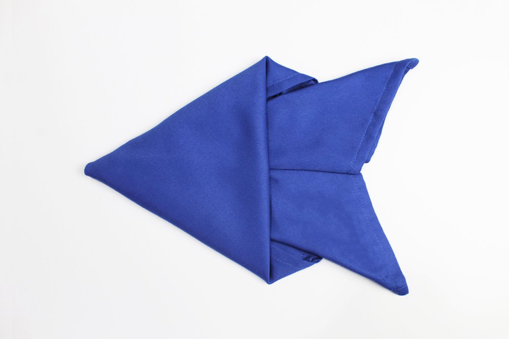 how_to_fold_a_fish_napkin_finished