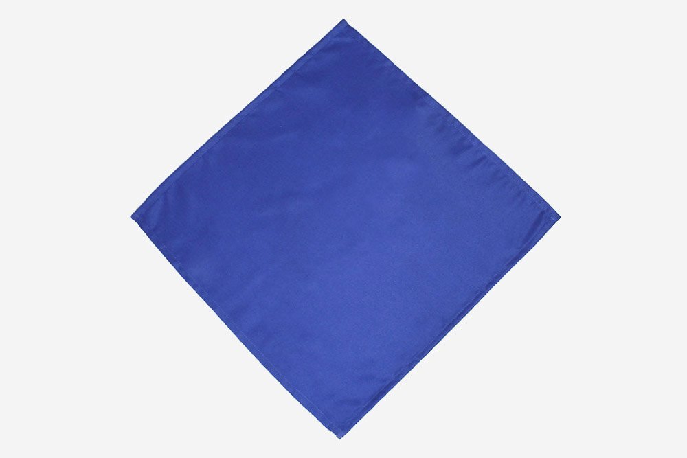 how_to_fold_a_fish_napkin_step_1