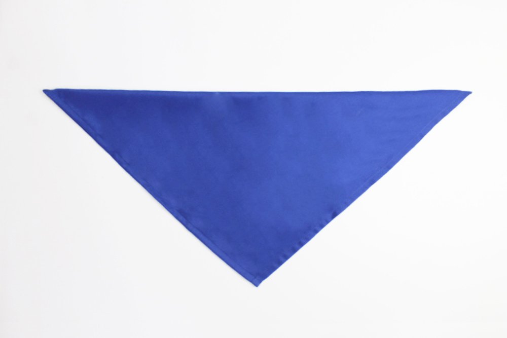 how_to_fold_a_fish_napkin_step_2