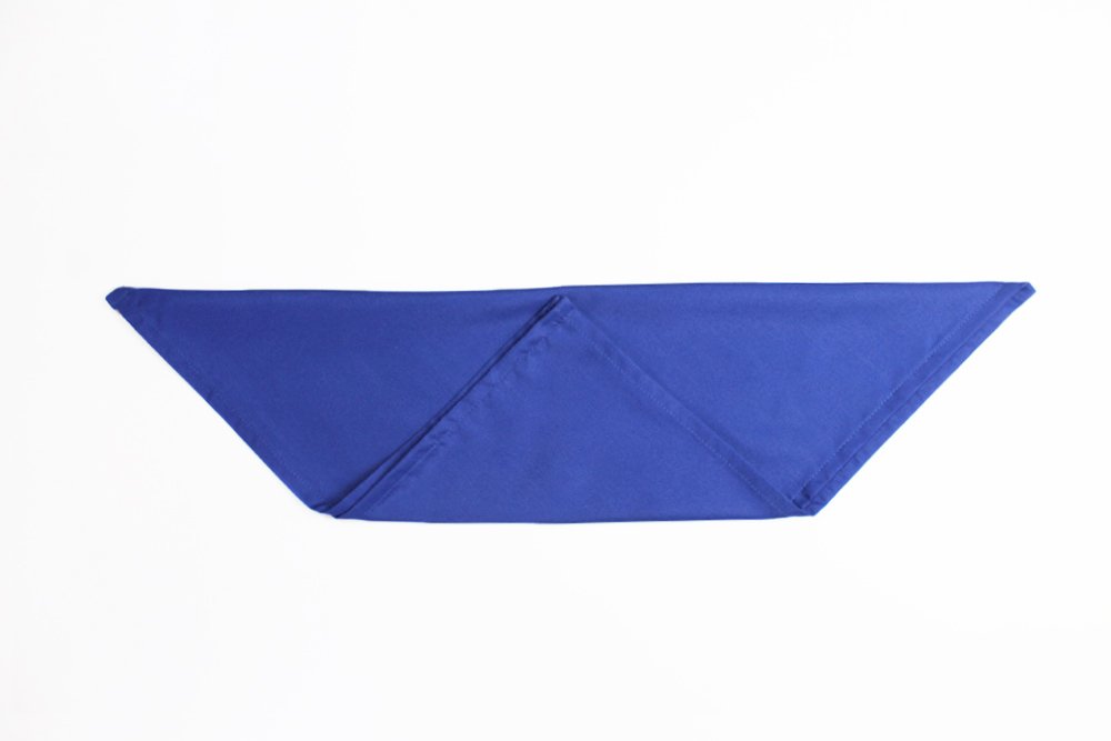 how_to_fold_a_fish_napkin_step_3