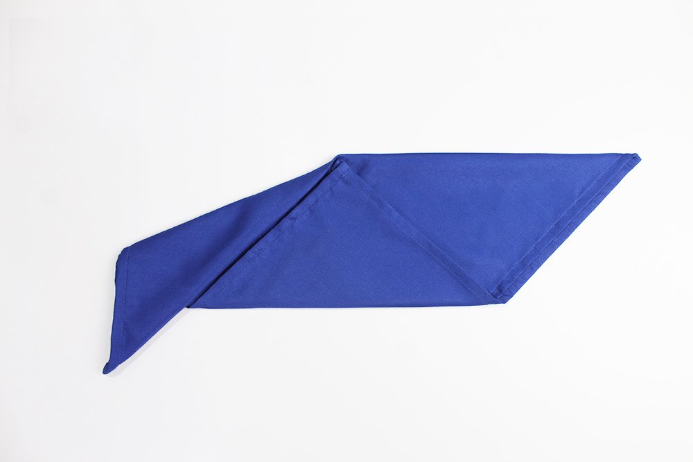 how_to_fold_a_fish_napkin_step_4