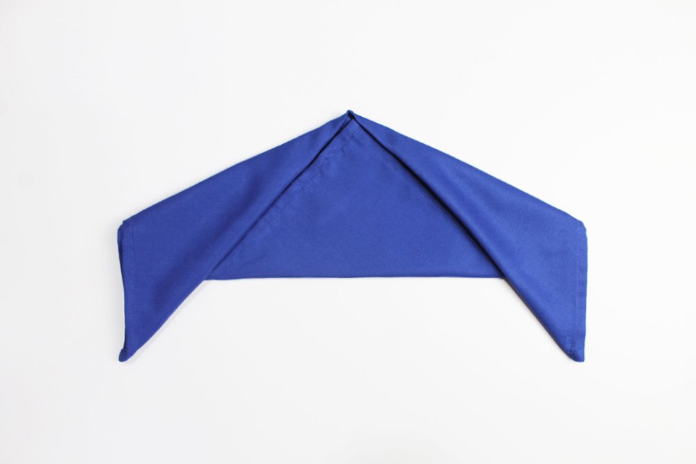 how_to_fold_a_fish_napkin_step_5