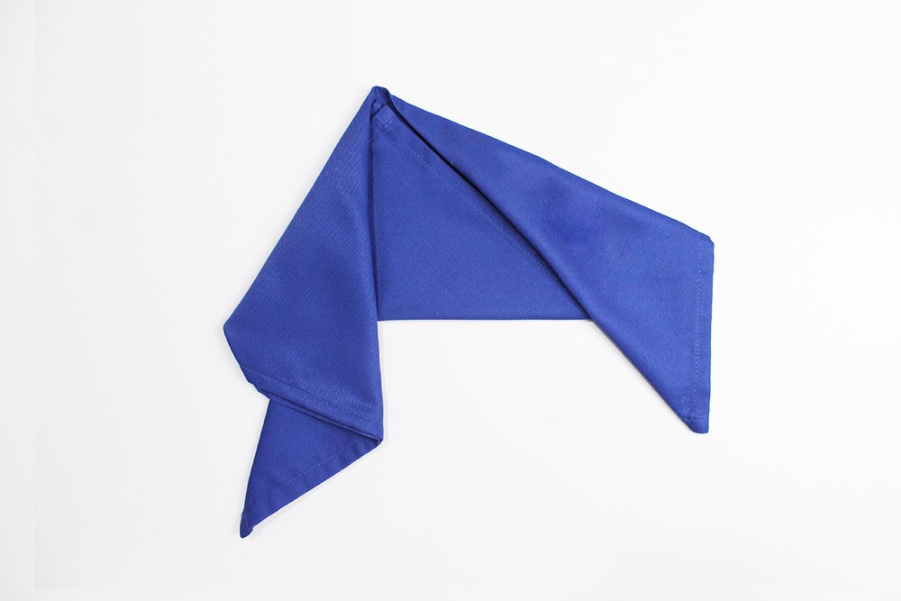 how_to_fold_a_fish_napkin_step_6