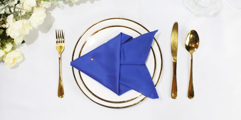 How to Make a Fish Napkin Fold | Easy Fold for Kids and Beginners