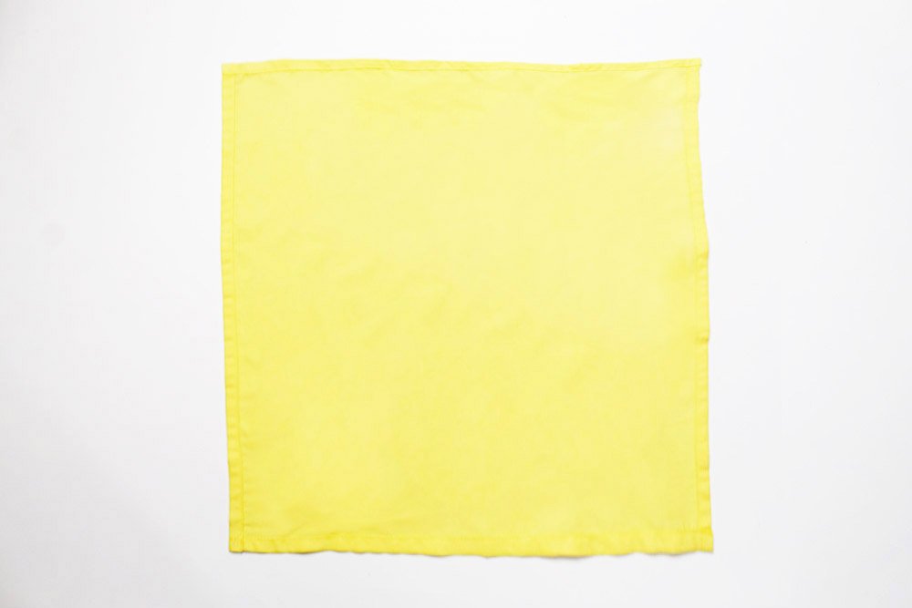 how_to_fold_octopus_napkins_step_1