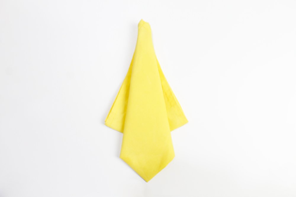 how_to_fold_octopus_napkins_step_11