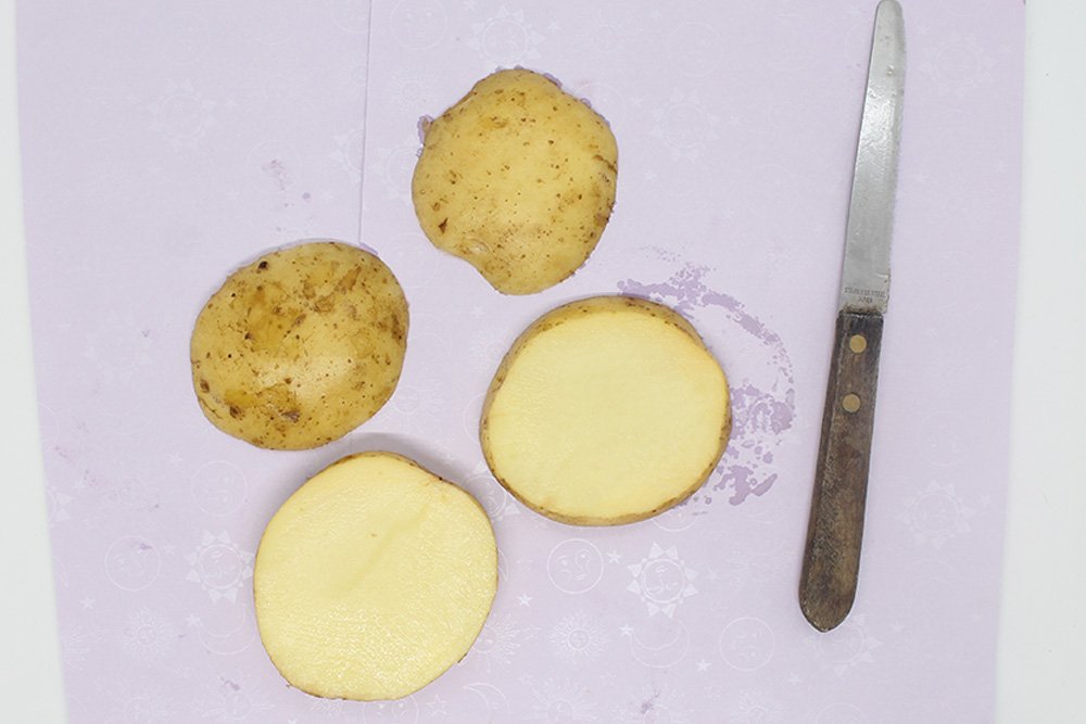 how_to_make_potato_stamps_step_4