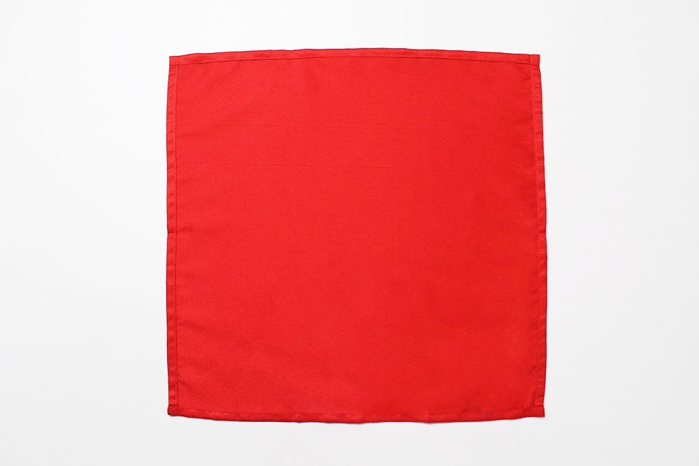 Easy Trifold Napkin Folding - Step 01