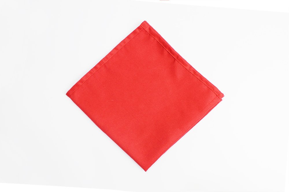 Easy Trifold Napkin Folding - Step 04