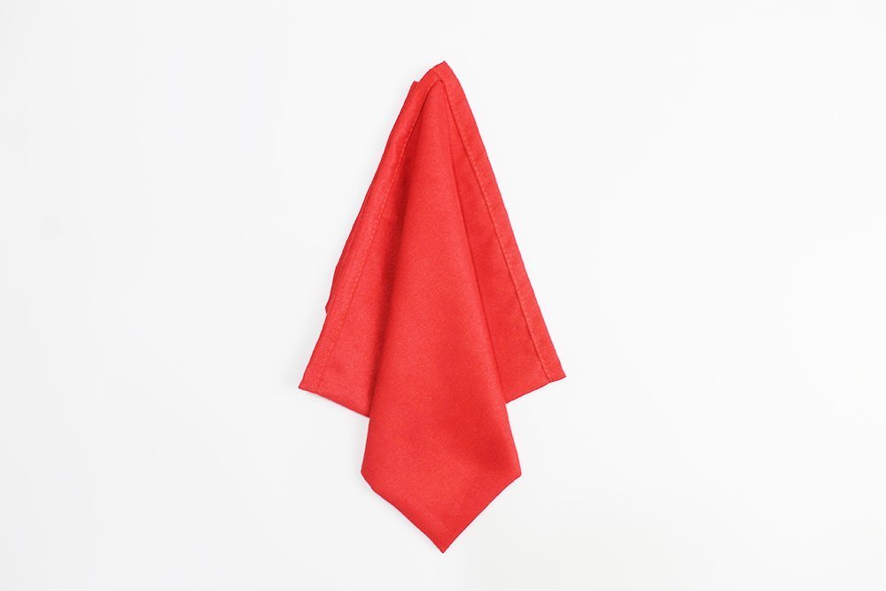 Easy Trifold Napkin Folding - Step 05