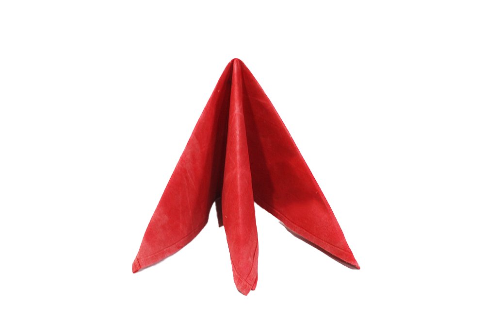 How to Fold the Three-fold Tafelspitz Napkin - Step 1